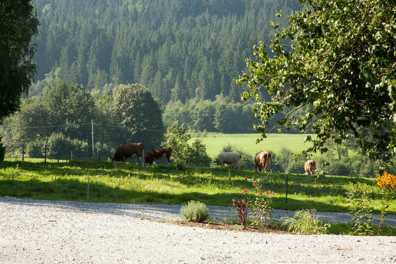 Landhotel Bayerwald Grafling المظهر الخارجي الصورة